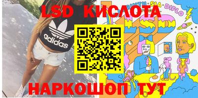 прущие грибы Будённовск