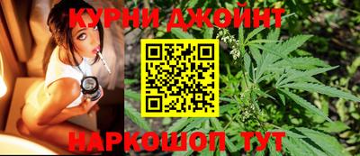 прущие грибы Будённовск