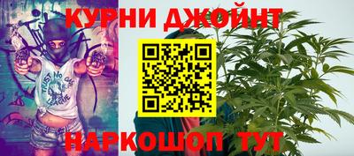 прущие грибы Будённовск