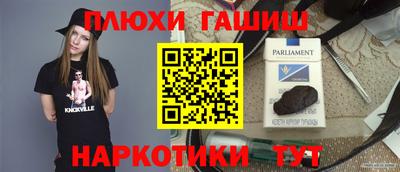 прущие грибы Будённовск