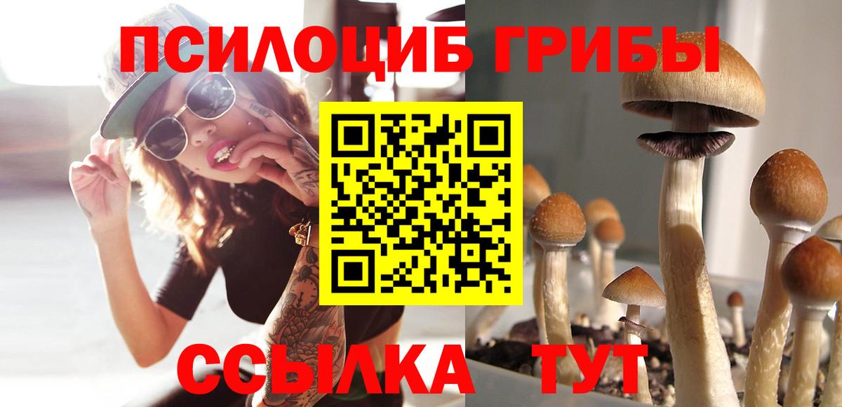 Галлюциногенные грибы мицелий Снежинск