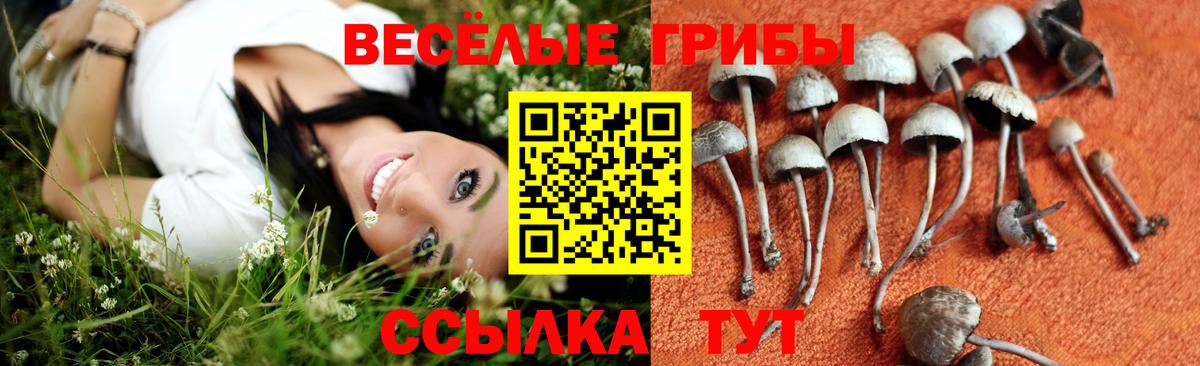 Псилоцибиновые грибы ЛСД  Вход с VPN  Галлюциногенные грибы MAGIC MUSHROOMS  Снежинск 